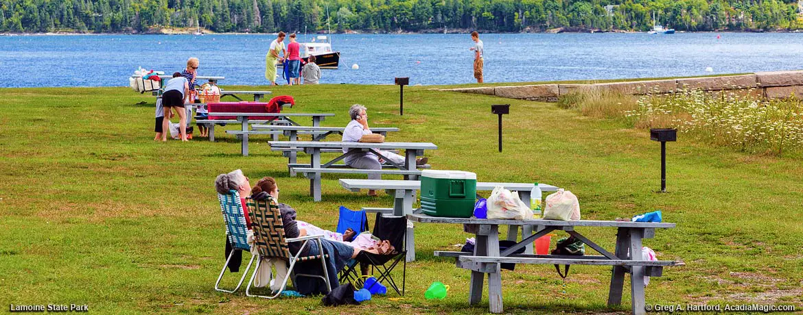 Picnic tables at Lamoine State Park