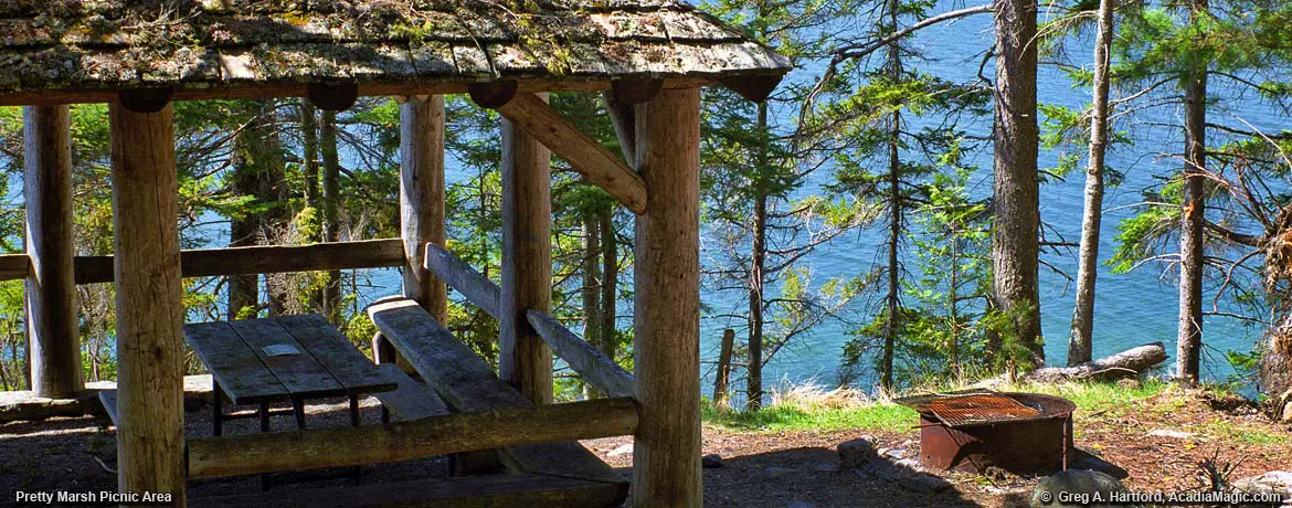 Pretty Marsh Picnic Area, Acadia National Park