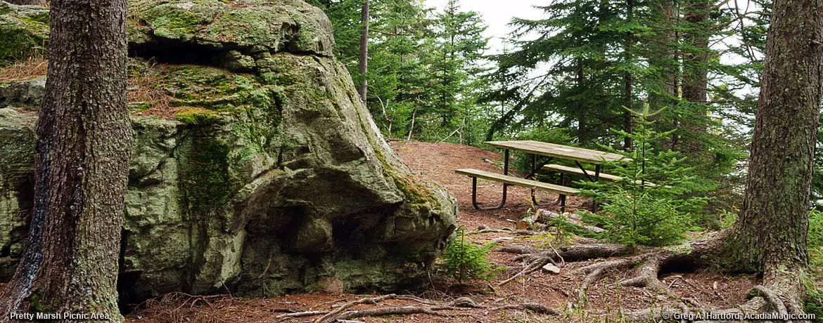Pretty Marsh Picnic Table Setting