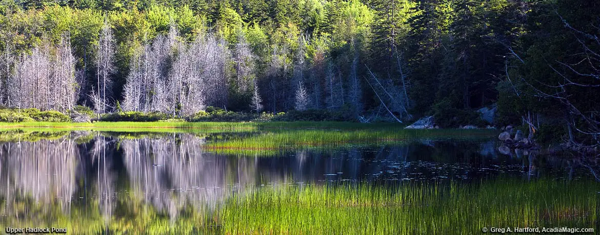 Upper Hadlock Pond