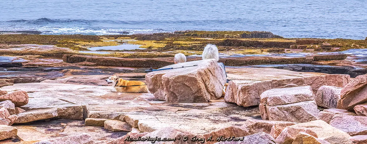 Serenity at Wonderland Trail in Acadia National Park