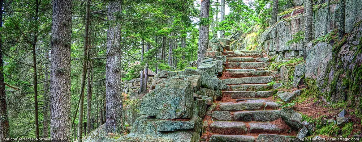 Asticou Terraces Steps
