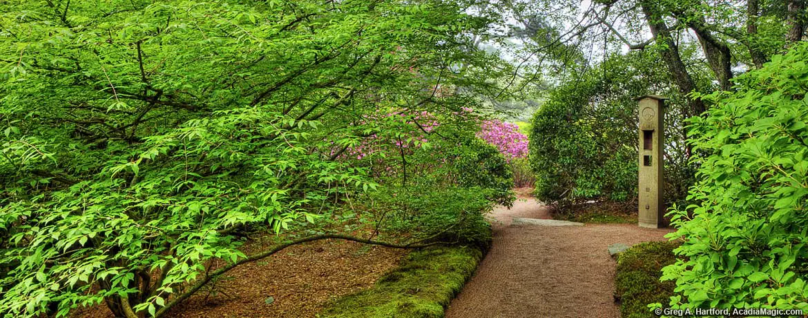 Garden in Acadia, Maine