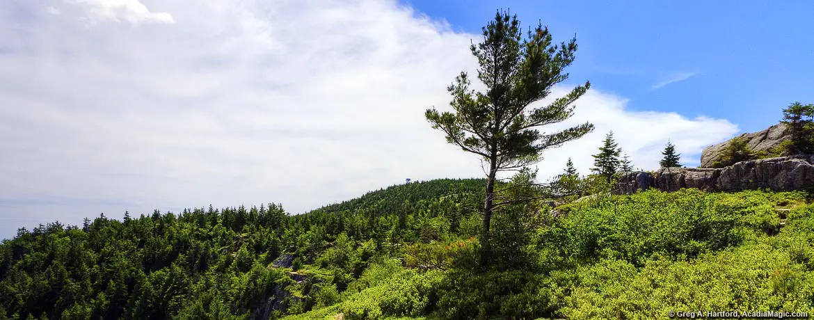 Fire Tower on Beech Mountain