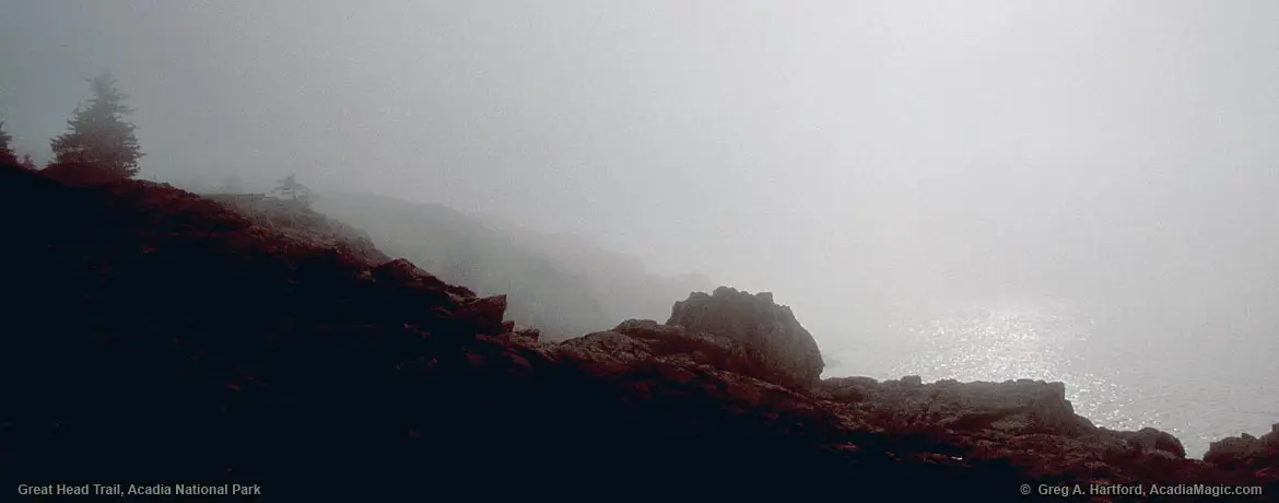 Foggy sunrise at Great Head Trail