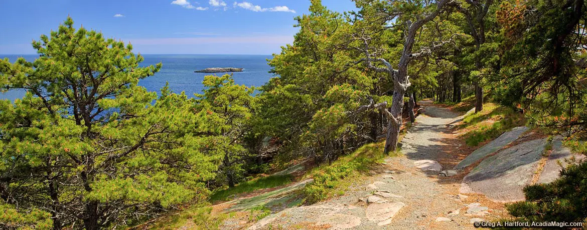 Ocean Path in Acadia National Park