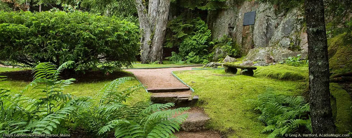 Memorial for John K. Savage, creator of Thuya Garden