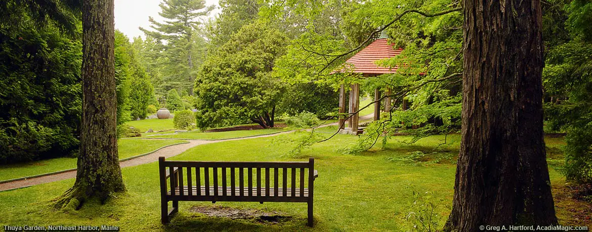 Sitting bench overlooking Thuya Garden