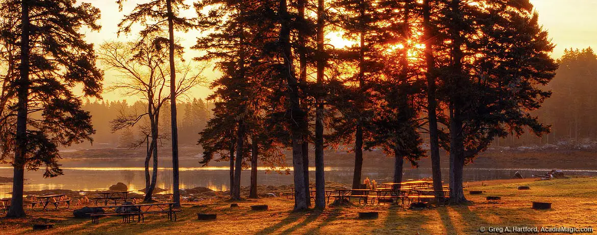 Picnic area on Thompson Island