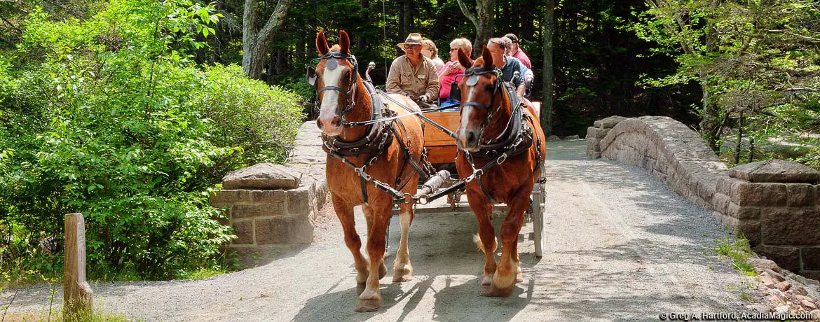 Carriage Ride at Jordan Pond