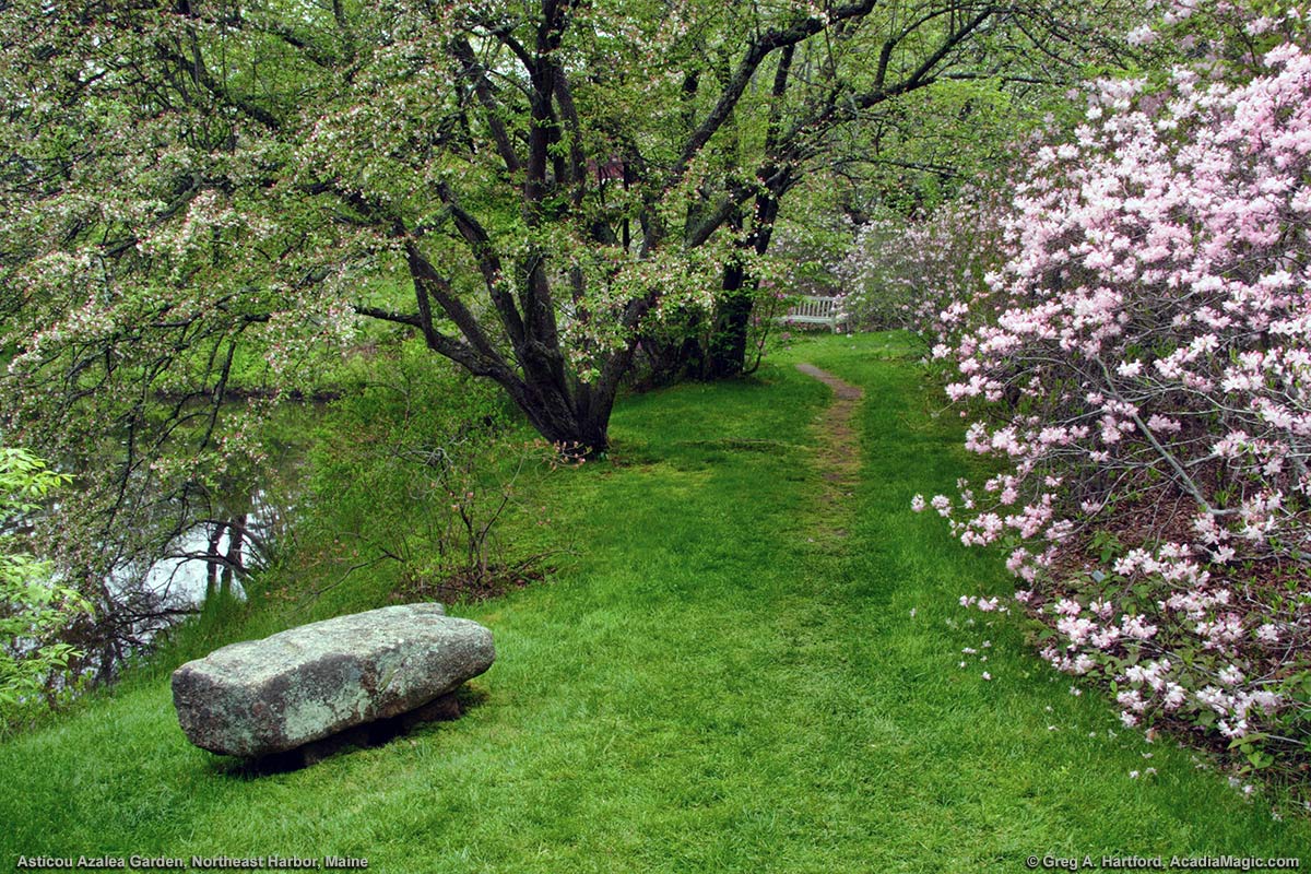 Large granite bench at Asticou Garden