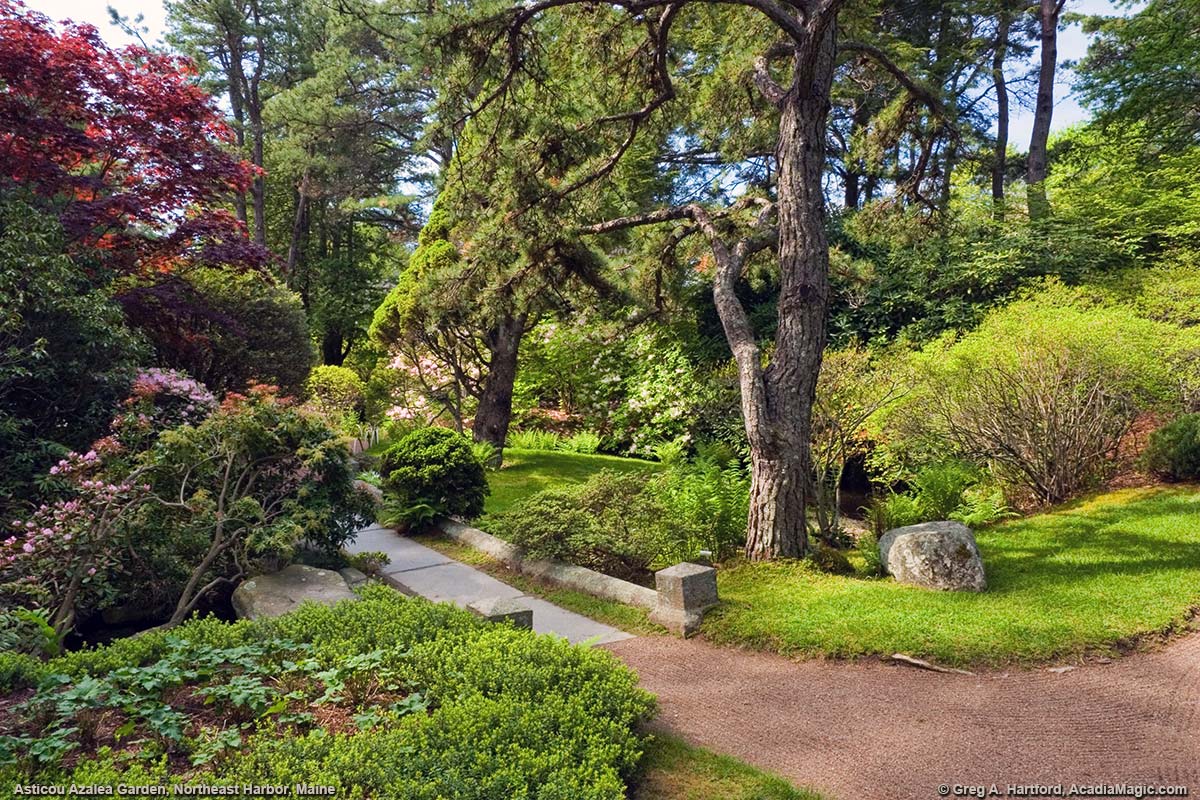 Crossroads in Garden