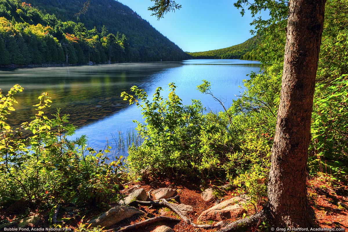 Bubble Pond in Acadia National Park, Maine