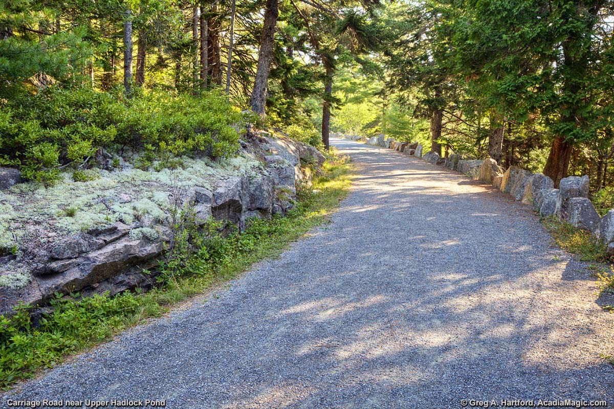 Carriage Road near Parkman Mountain Parking Area