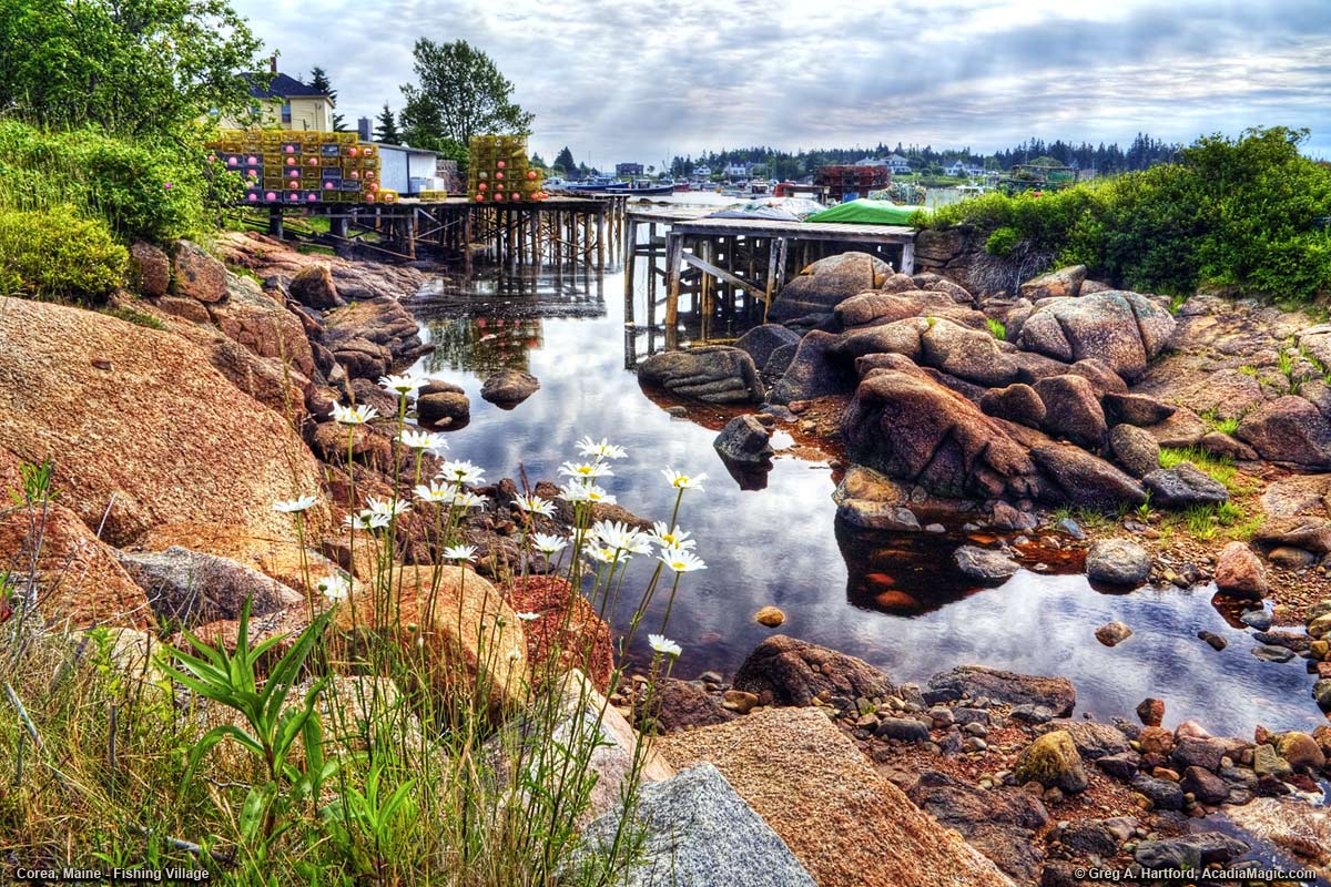 Corea, Maine near Schoodic Peninsula
