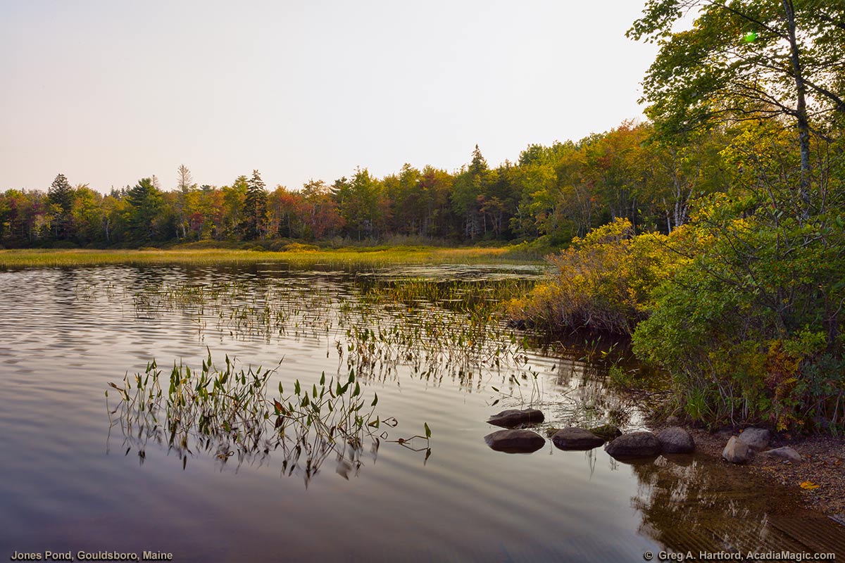 This is the public boat launch area at Jones Pond in Gouldsboro, Maine.