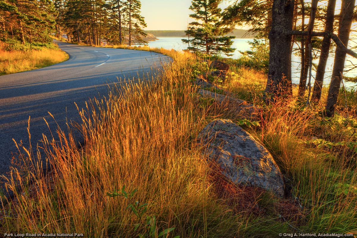 The Park Loop Road near Otter Cliff in Autumn in Acadia National Park