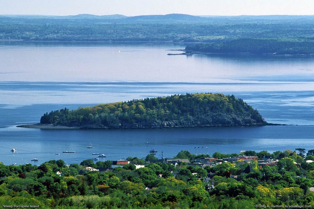 Return to Cadillac Mountain
