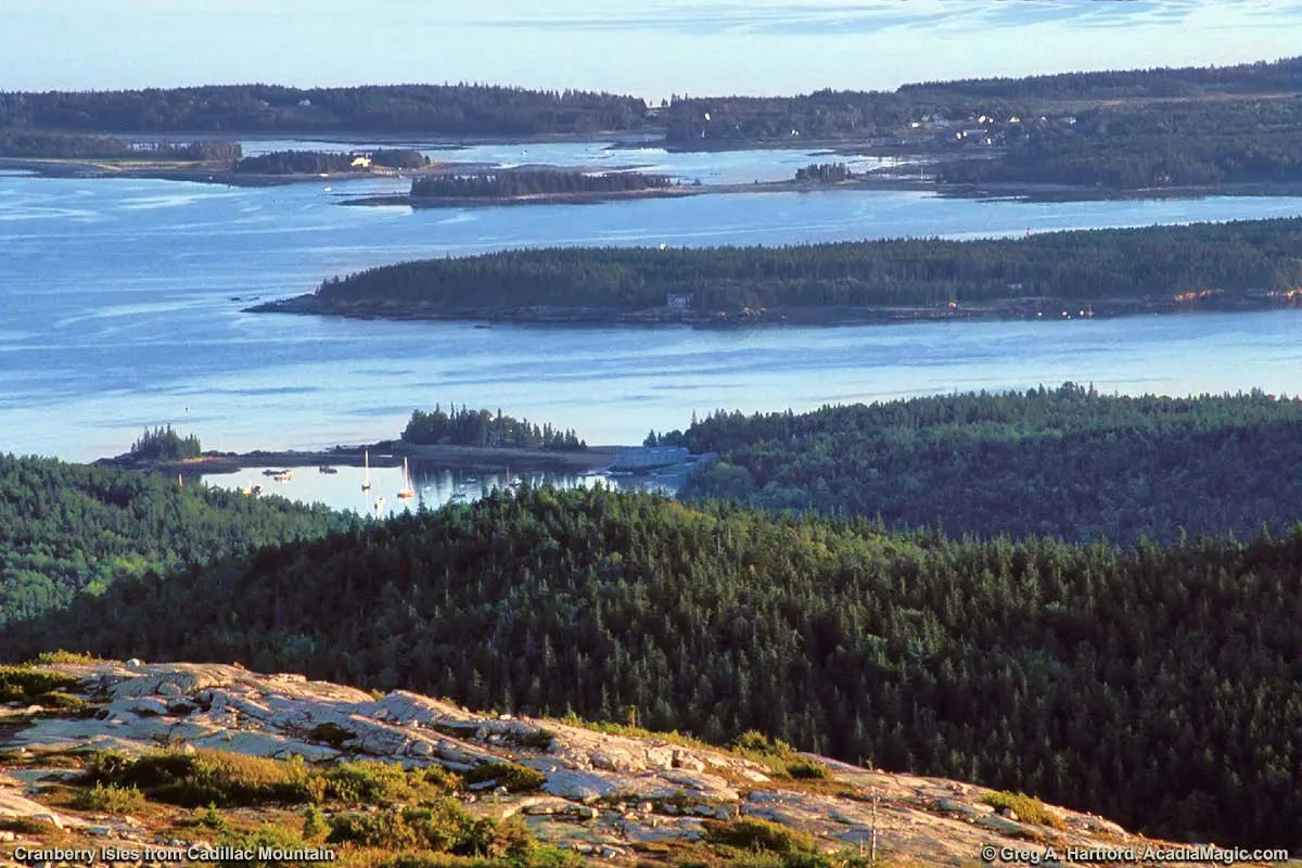 Sutton Island in Cranberry Isles