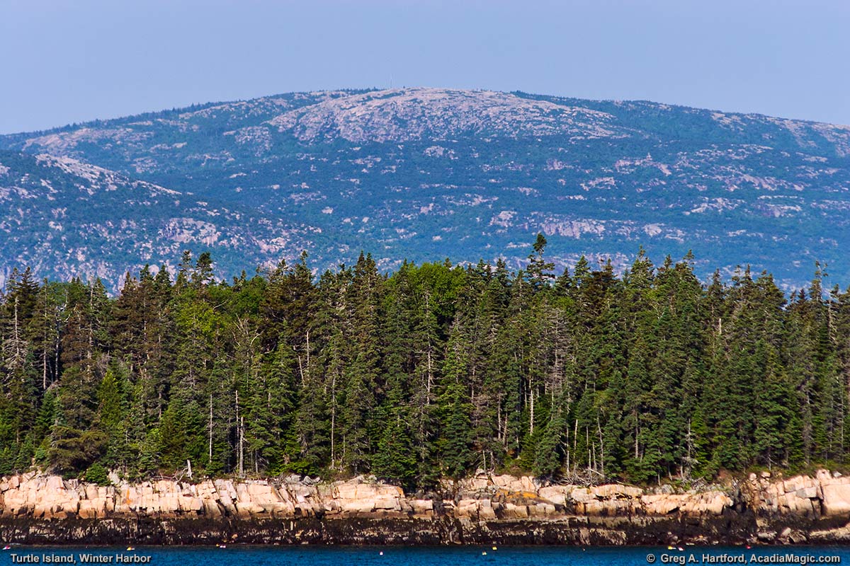 Turtle Island in Winter Harbor in Hancock County