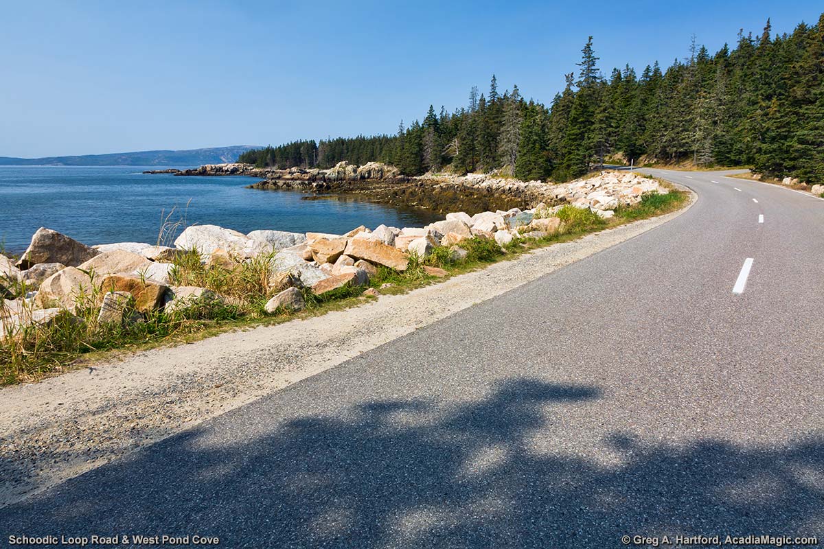 West Pond Cove next to Schoodic Loop Road