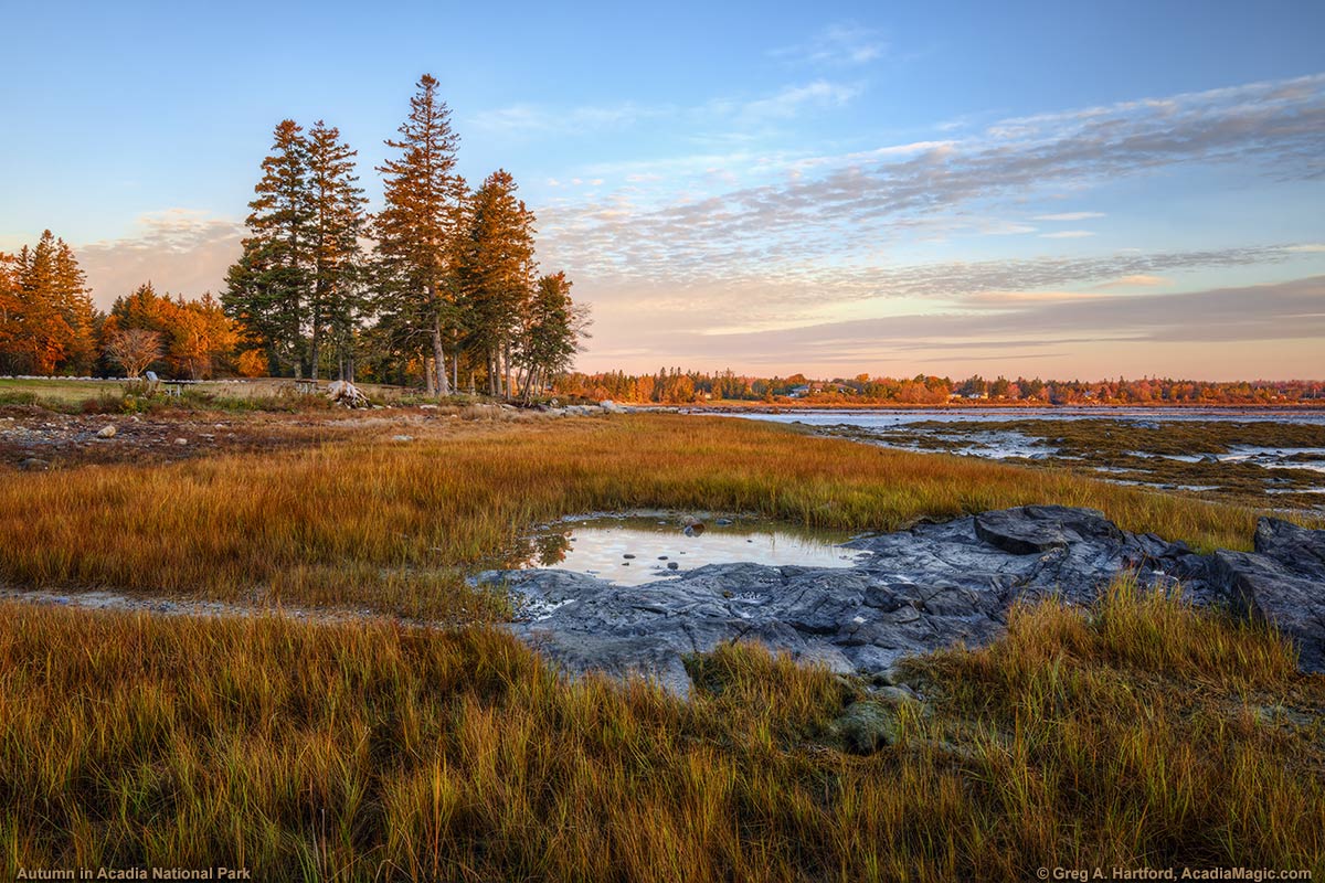 Thompson Island in Acadia National Park at Sunrise