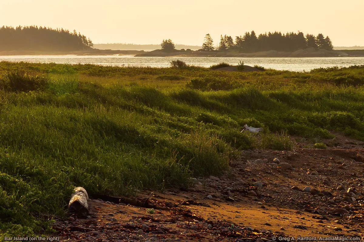 This photo shows the grass along the shoreline at Cranberry Point in Corea, Maine. Bar Island is in the distance on the right.