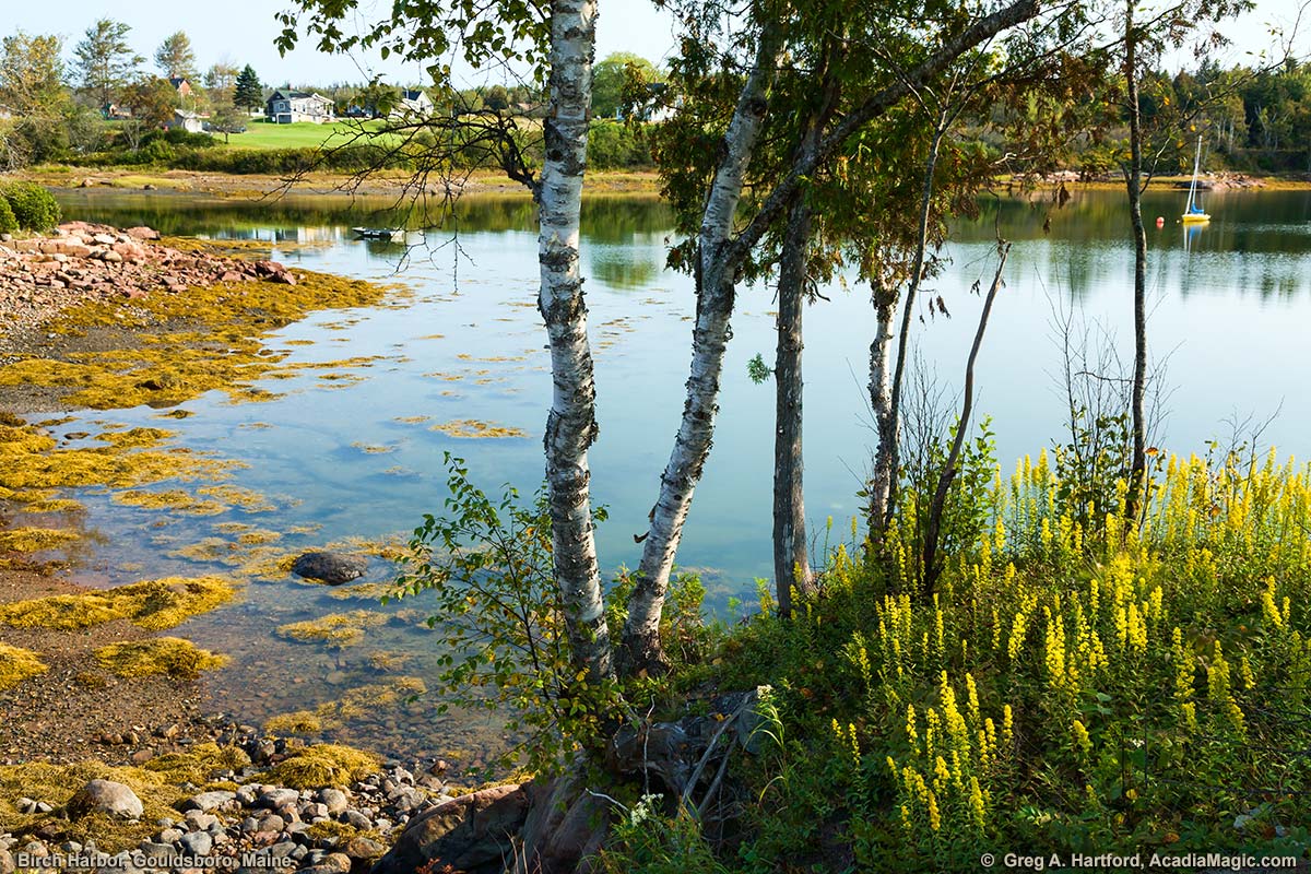 This is a middle of September view of Birch Harbor Inlet in Gouldsboro, Maine.