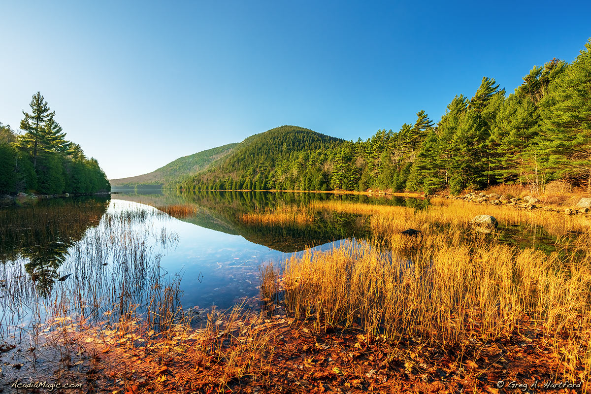 Bubble Pond in Acadia morning of November 4