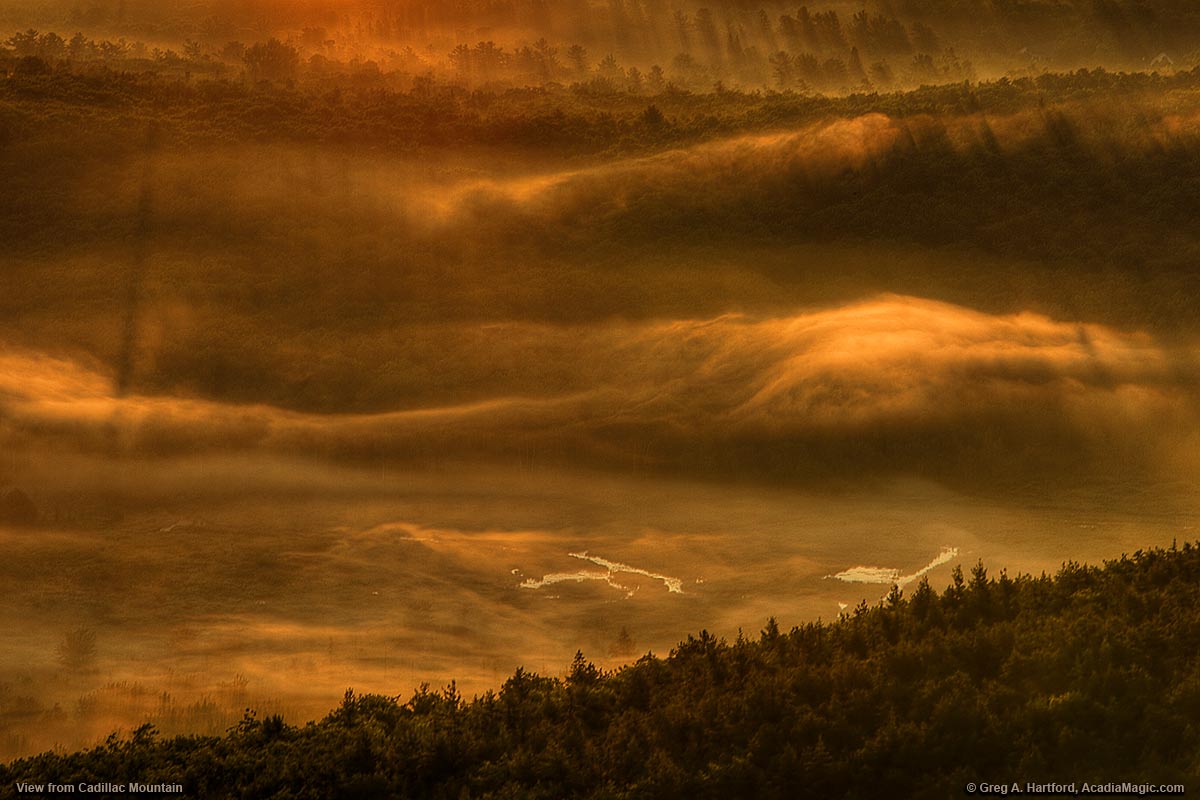This is an interesting Cadillac Mountain view of morning light breaking through the trees and fog in Bar Harbor