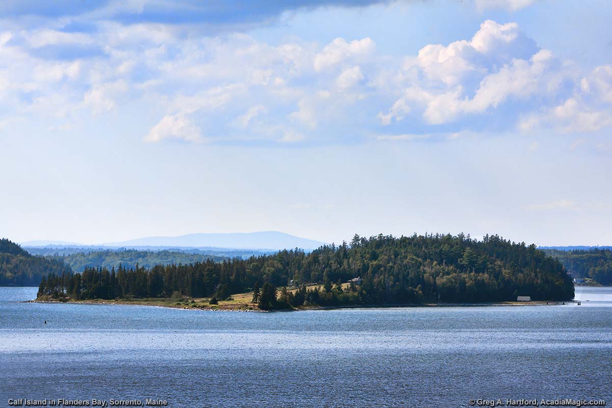 Calf Island in Sorrento, Maine