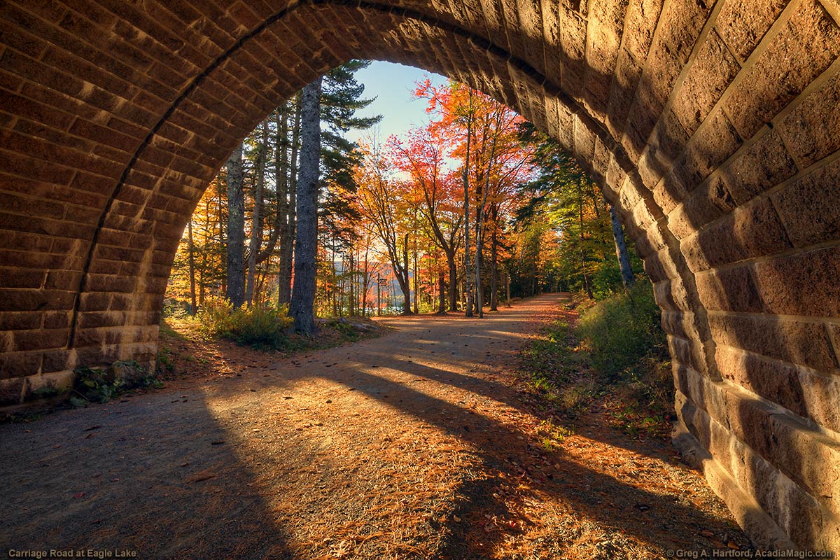 Carriage Road & Bridge During Autmn Season in Acadia