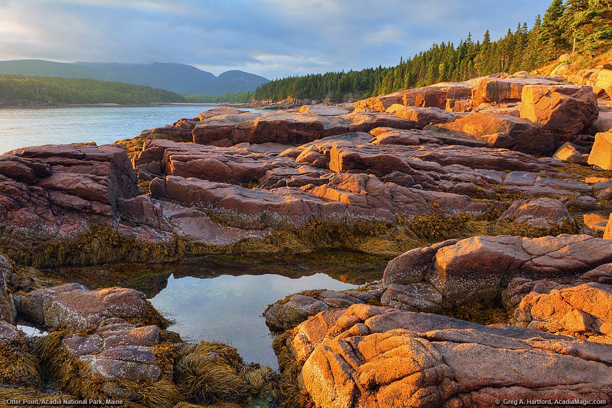 Otter Cove on Mount Desert Island Maine