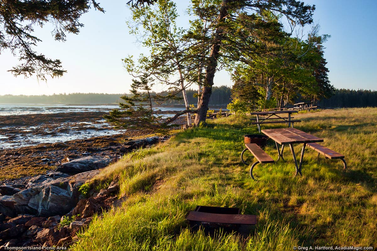 Picnic Table at Thompson Island Picnic Area in Acadia National Park Maine - Photo 2
