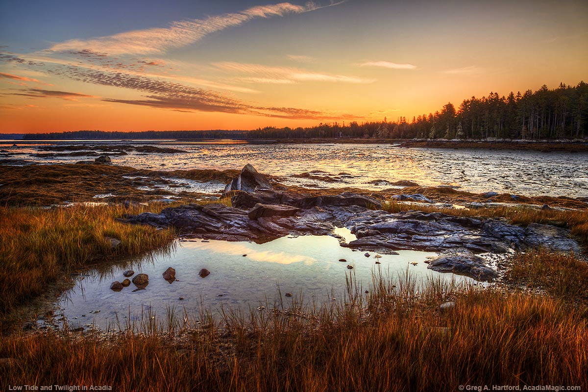 Tide Pool on Thompson Island Shore at Low Tide - Photo 8