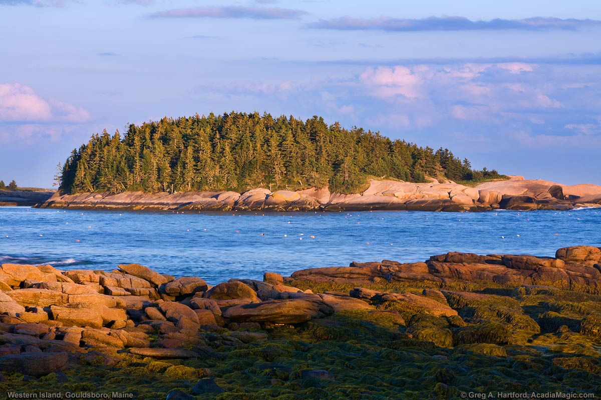 Western Island in the Village of Corea, Maine