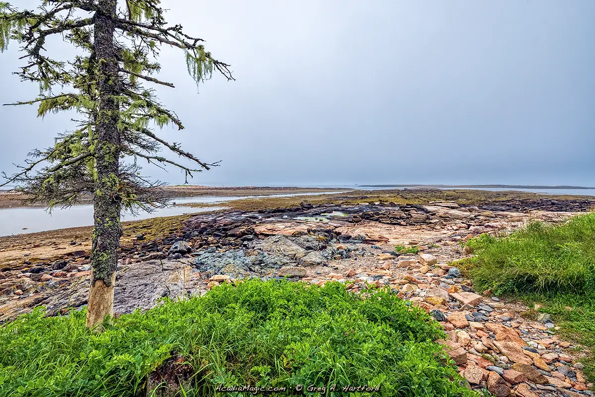 This shows another oceanside section of the Wonderland Trail that goes along the southern shore of MDI in Acadia National Park.