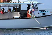 Island Cruises