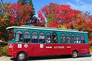 Oli's Trolly Busses & Tours