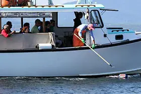 Island Cruises
