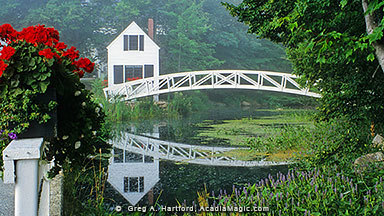 The arched walking bridge in Somesville, Maine with red flowers in the foreground