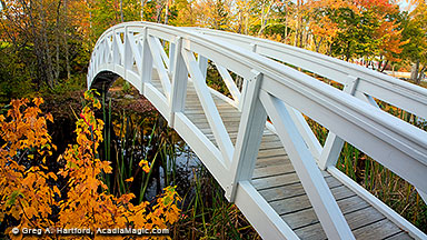 This shows the white arched walking bridge in Somesville, Maine during the autumn season.