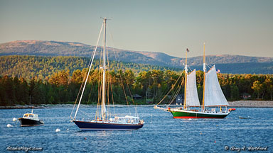 Yachts in the harbor with Cadillac Mountain seen in the background