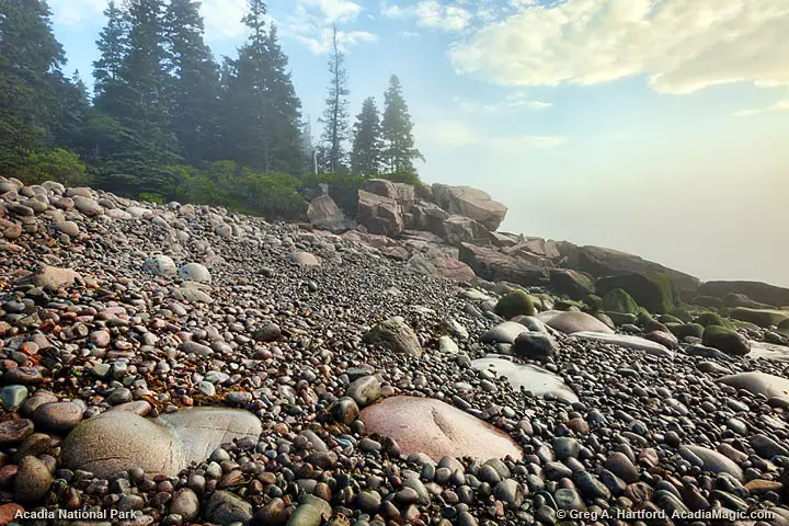 Foggy morning in Acadia National Park near Otter Cliff