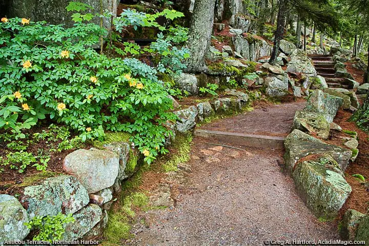 This shows a section of the walking path in Asticou Terraces near the beginning