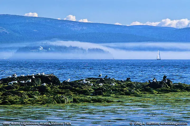 View of Bear Island from Manset in Southwest Harbor, Maine