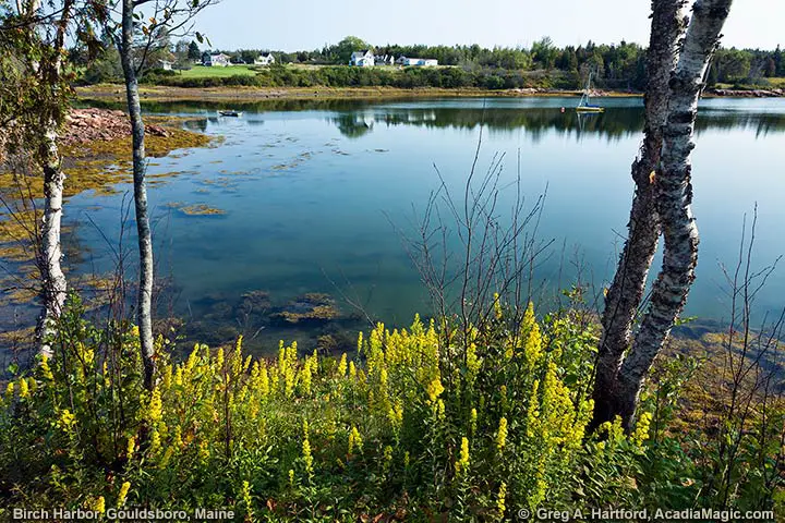 Birch Harbor, Maine