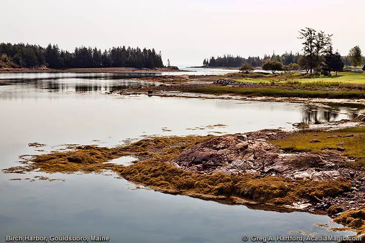 Birch Harbor in Gouldsboro, Maine