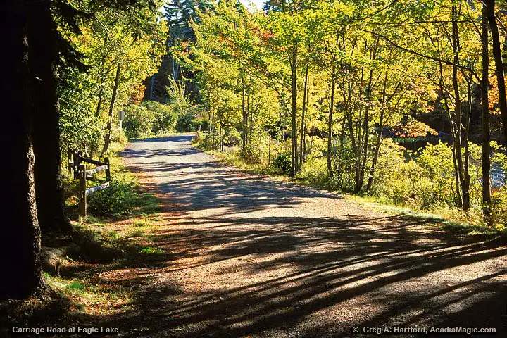 Carriage Road at Eagle Lake in Acadia National Park