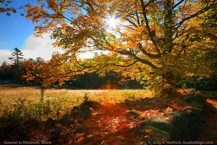 Early morning colors during autumn in Ellsworth